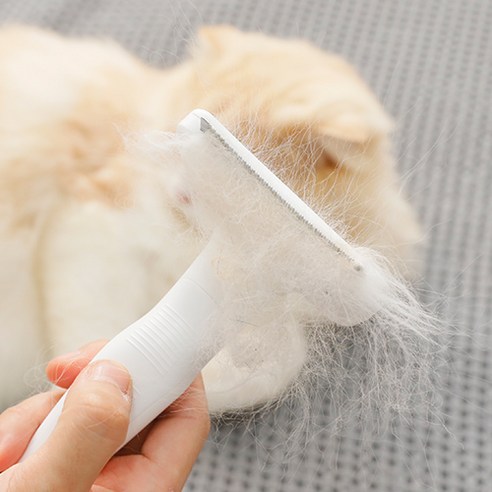 옥희독희 고양이 죽은털 제거 뽀송 브러쉬 9.5 x 15.6 cm, 화이트, 1개