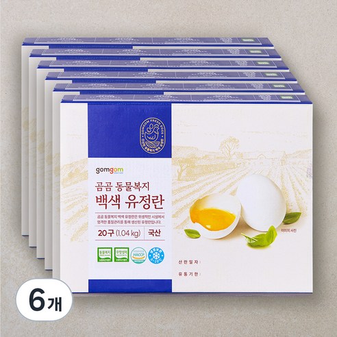 곰곰 동물복지 백색 유정란, 20구, 6개