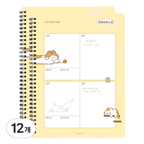 핑크풋 3000 냥냥 초등 오답노트, 옐로우, 12개