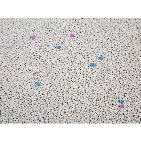 고양이에게 이상적인 깔끔하고 위생적인 배변 공간