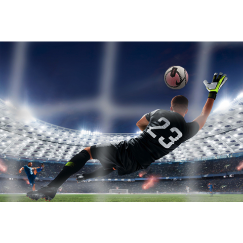 운동의 즐거움을 더하는 선명한 색상