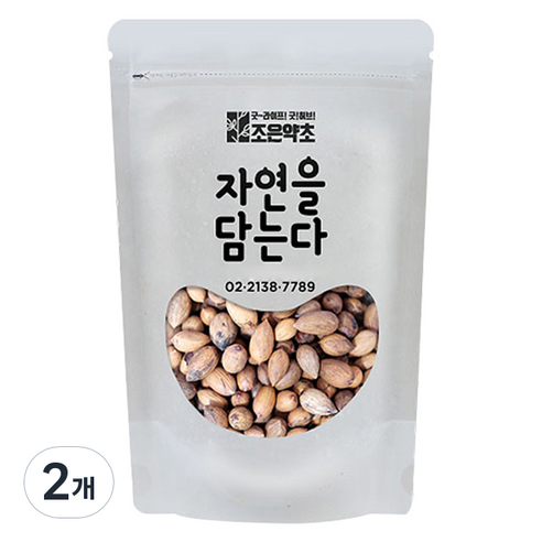 조은약초 비자열매, 400g, 2개