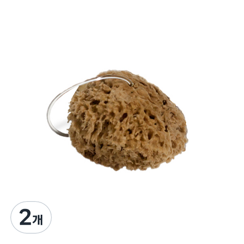 베베캐슬 그리스산 천연해면 스펀지 칼림노스 M, 2개