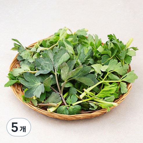 국내산 방풍나물, 300g, 5봉