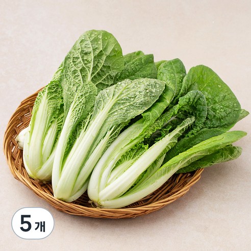 친환경 얼갈이, 300g, 5개