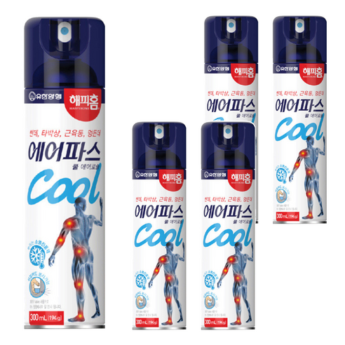 해피홈 에어파스 쿨 에어로솔 300ml, 1개입, 5개