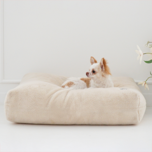 퍼피엔젤 반려동물 MONSTERS Boa Square Cushion PA-BD130, 2 IV