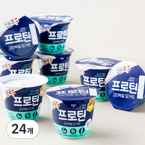 요플레 프로틴 플레인 떠먹는 요구르트, 100g, 24개