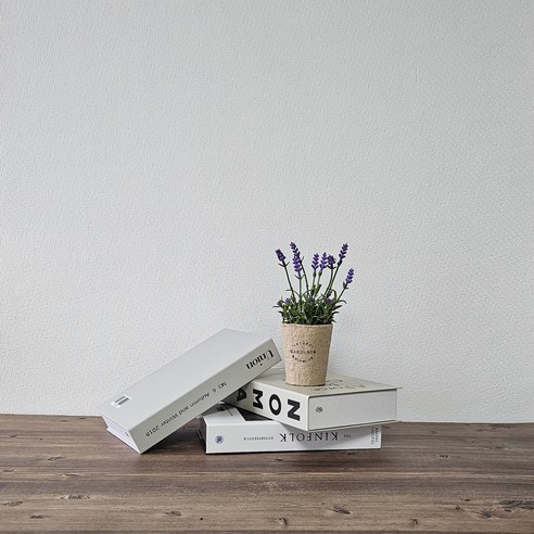 건강하고 쾌적한 생활공간을 위한 필수 아이템