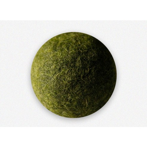 마리모와 함께하는 초록빛 행운, 일상에 작은 행복을 더하다