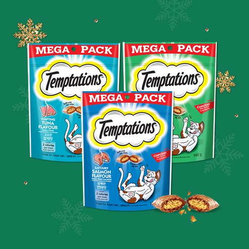 고양이를 위한 최고의 간식 선택