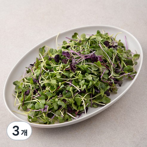 국내산 친환경 어린잎 채소, 200g, 3개