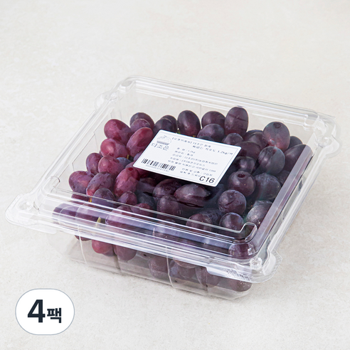 다조은 칠레산 씨없는 적포도, 1.2kg, 4팩