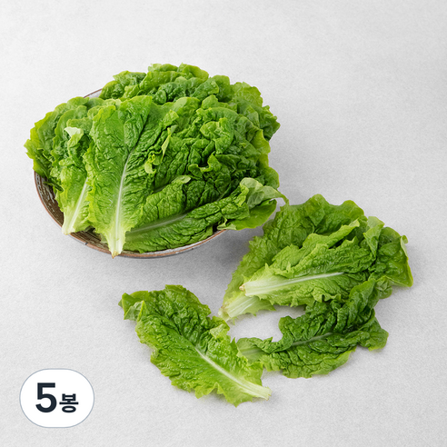 곰곰 국내산 GAP 청상추, 300g, 5봉