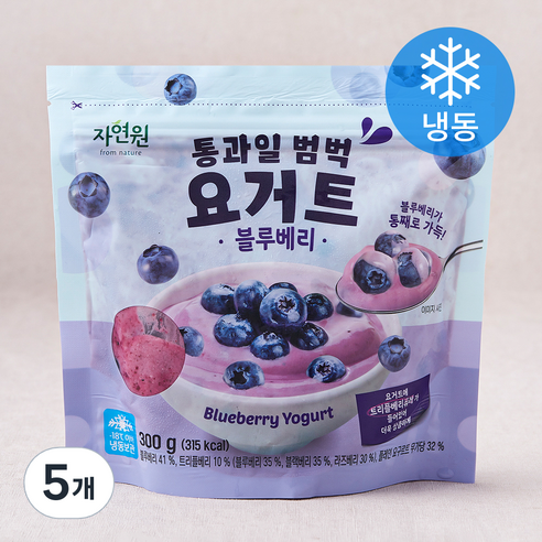 자연원 통과일 범벅 요거트 블루베리 (냉동), 300g, 5개