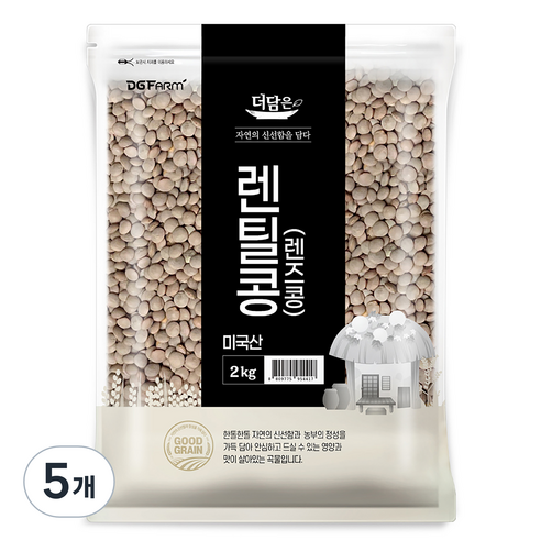 더담은 미국산 렌틸콩 렌즈콩, 2kg, 5개