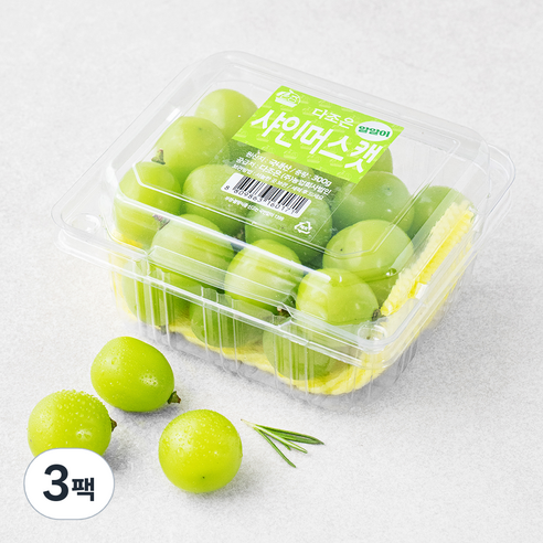 다조은 알알이 샤인머스켓, 300g, 3팩
