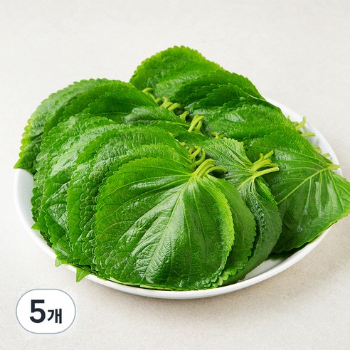 국내산 친환경 깻잎, 150g, 5개