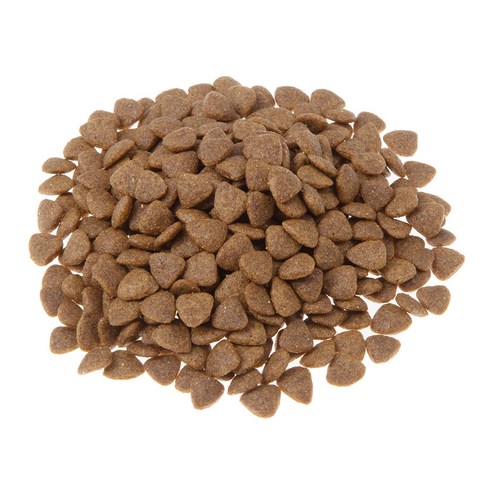 고양이를 위한 건강하고 맛있는 선택