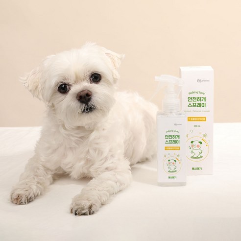 뽀시래기의 안전과 건강을 보장하는 필수 아이템