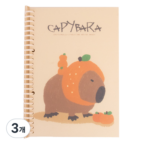 아트조이 카피바라 루즈리프 B5 바인더 노트, 3개, A 04