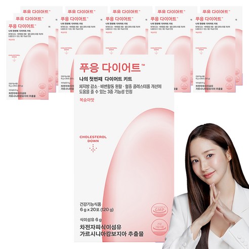 푸응 다이어트 차전차피 가르시니아, 120g, 12박스
