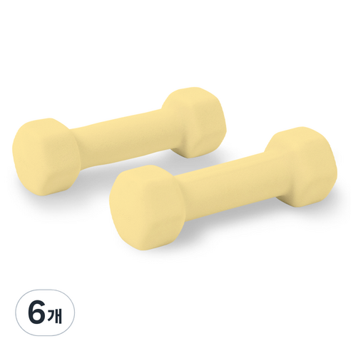 앳플리 LW 미용아령, 0.5kg, 6개