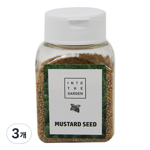 딜리셔스마켓 겨자씨, 80g, 3개