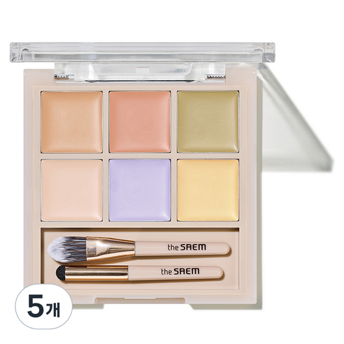 더샘 커버 퍼펙션 컨실러 팔레트 12g, 01 커버 앤 코렉트, 5개