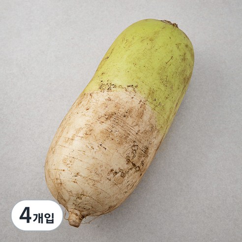 국내산 무, 1개입, 4개