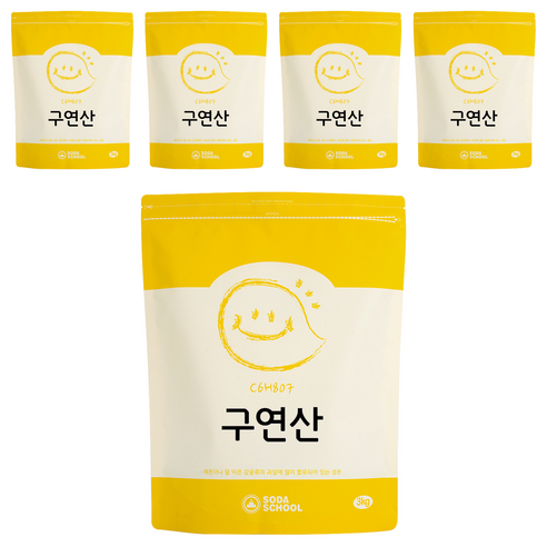 소다스쿨 구연산, 3kg, 5개