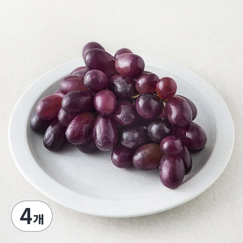 칠레 적포도, 4개, 450g