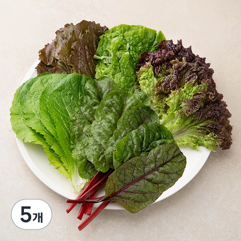 국내산 친환경 야채모듬쌈, 500g, 5개