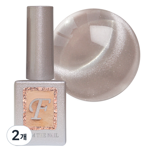 프롬더네일 MAGNET 젤네일, 10g, FG 221, 2개