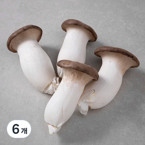 친환경 새송이버섯, 400g, 6개, 400g × 6개이라는 상품의 현재 가격은 12,040입니다.