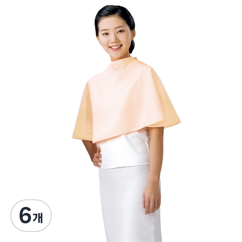 라인 포그니 드라이보 대, 오렌지 LN317, 6개