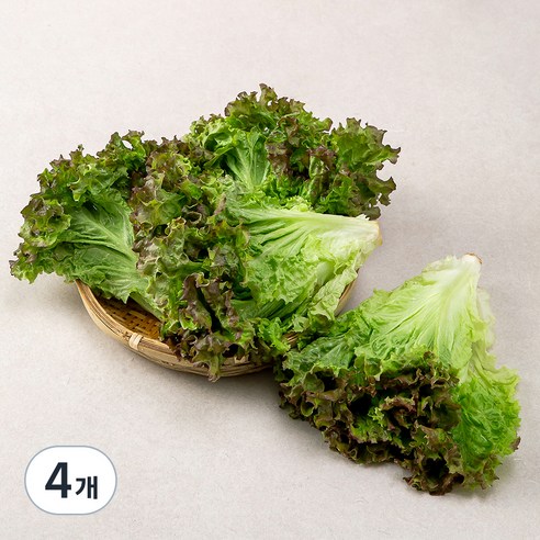 국내산 포기상추, 1kg, 4개