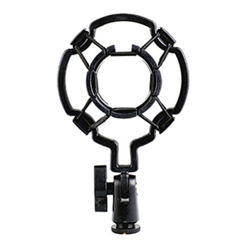 흔들림 없는 녹음, 흔들림 없는 가치