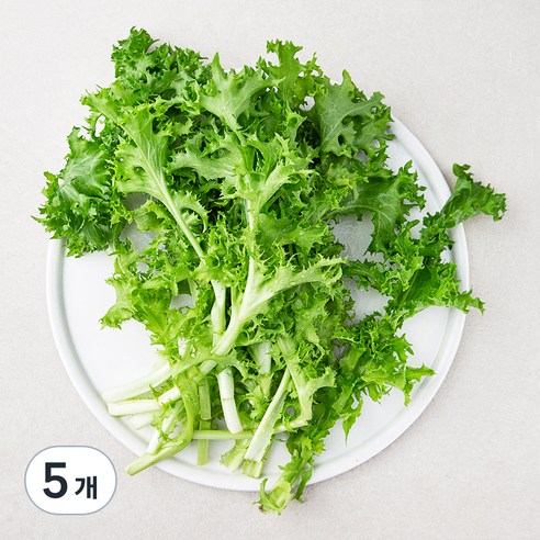 친환경 치커리, 150g, 5개