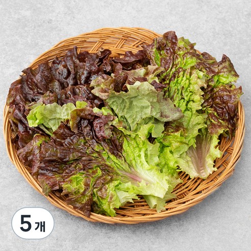 국내산 한끼 적상추, 80g, 5개