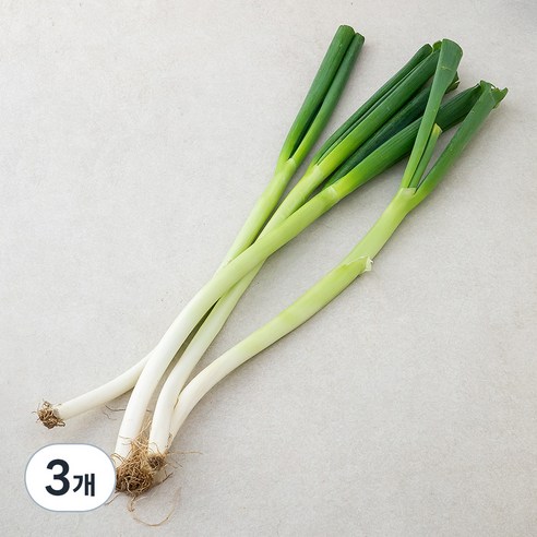 국내산 친환경 대파, 500g, 3개