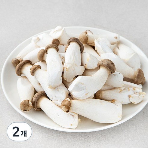 곰곰 친환경 미니 새송이버섯, 600g, 2개