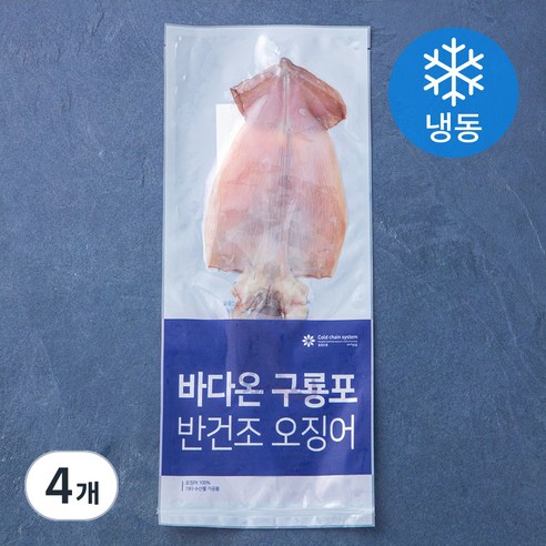 바다온 포항시 인증 한마리 구룡포 반건조 오징어 (냉동), 90g, 4개