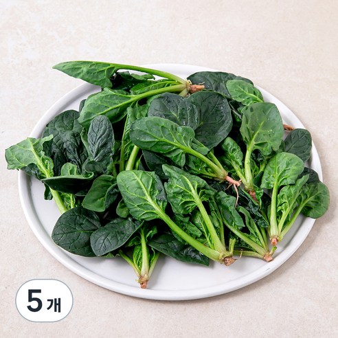 국내산 베이비 시금치, 100g, 5개