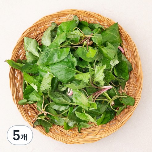 국내산 참취나물, 250g, 5개