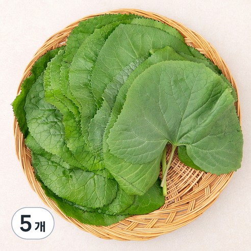 곰곰 국내산 곰취나물, 250g, 5개