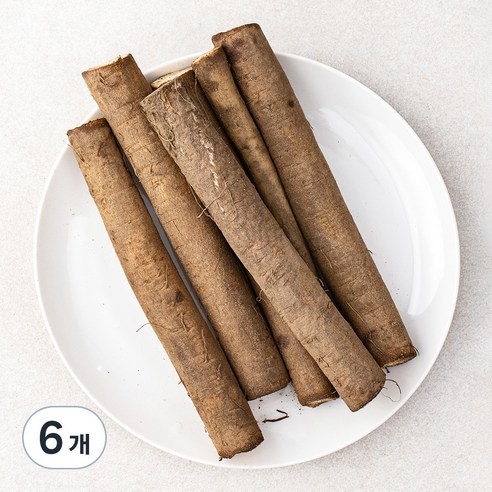 국내산 친환경 우엉, 500g, 6개