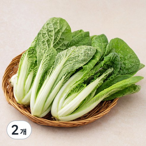 친환경 얼갈이, 300g, 2개