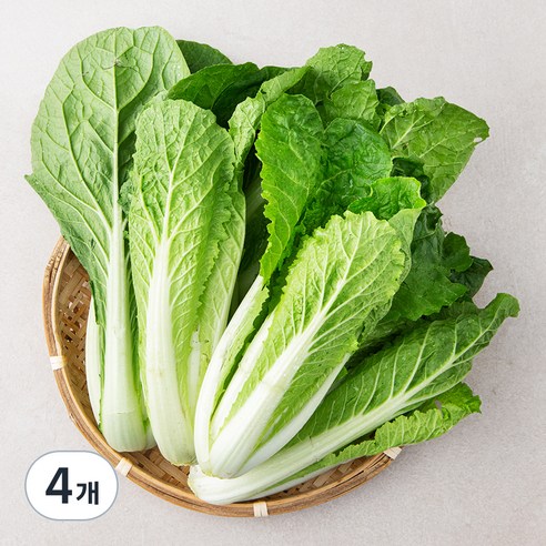 국내산 얼갈이, 800g, 4개