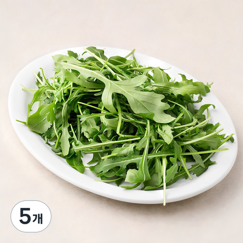 국내산 와일드 루꼴라, 30g, 5개